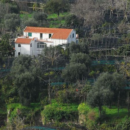 Azienda Agricola Veniero Piano di Sorrento Exterior photo
